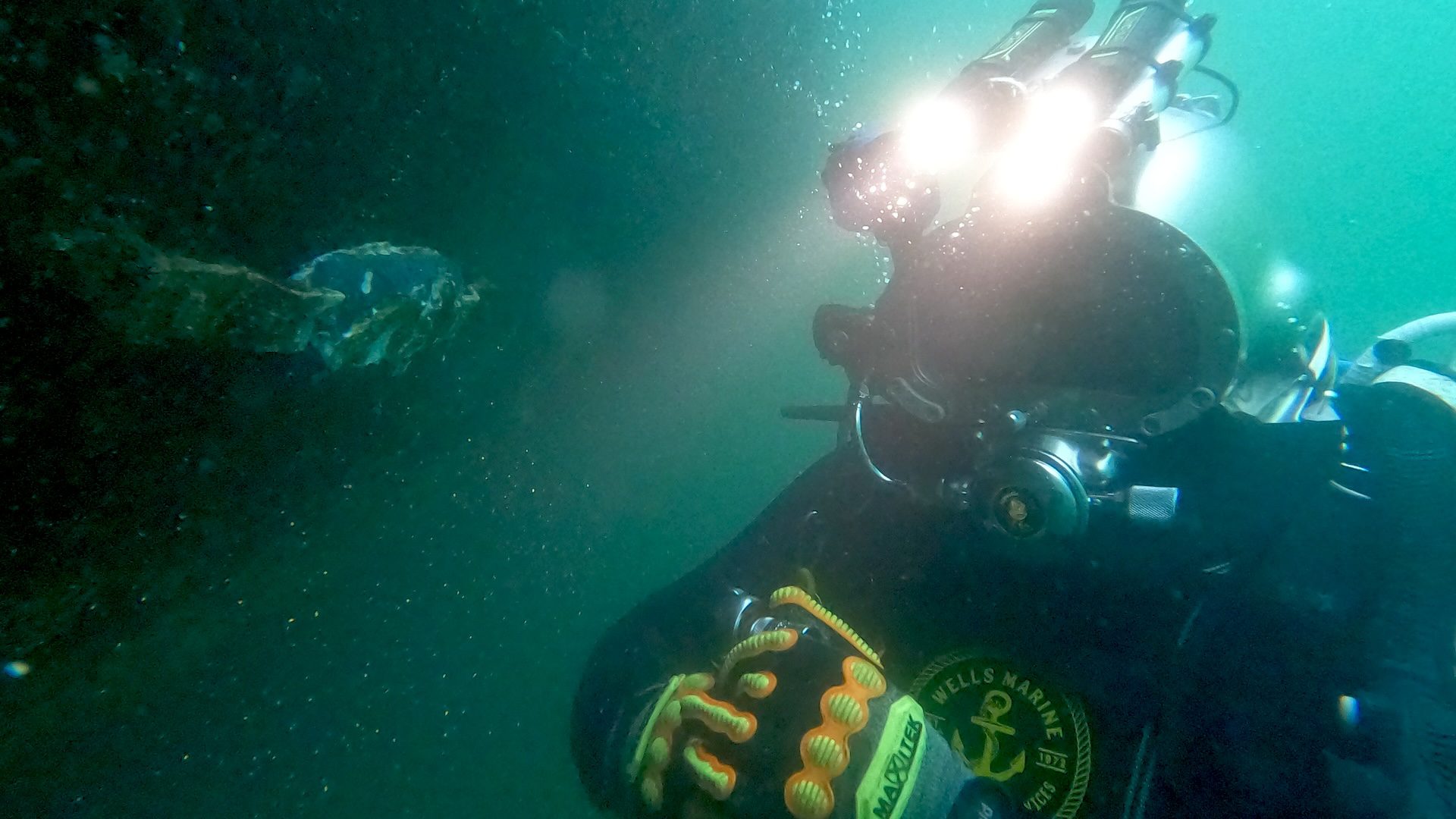  In-Water Ship & NDT Hull Survey