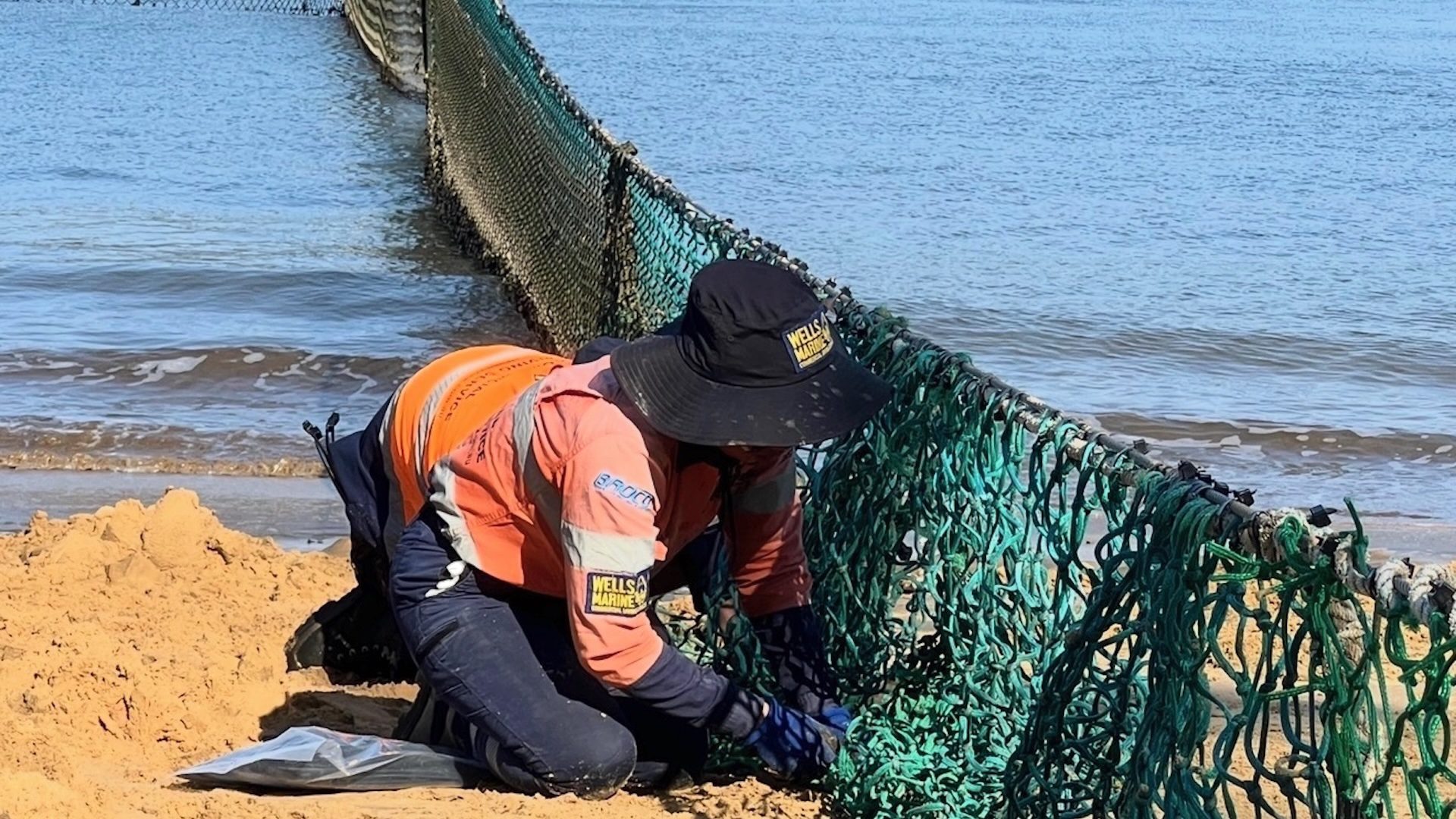  Shark Netting & Exclusion Enclosures